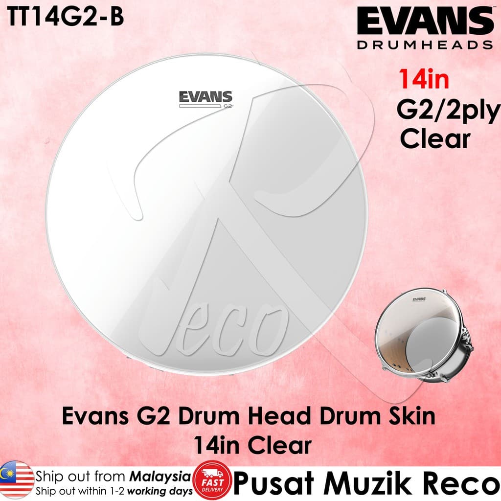 Evans g2 online snare head