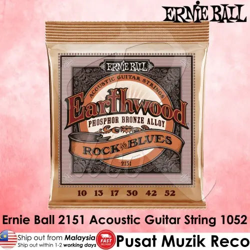 Ernie Ball 2151 Earthwood Phosphor Bronze R B Acoustic Guitar