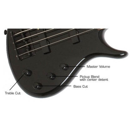 Epiphone Toby Standard-IV 4-String Bass Guitar , Ebony | Reco Music Malaysia